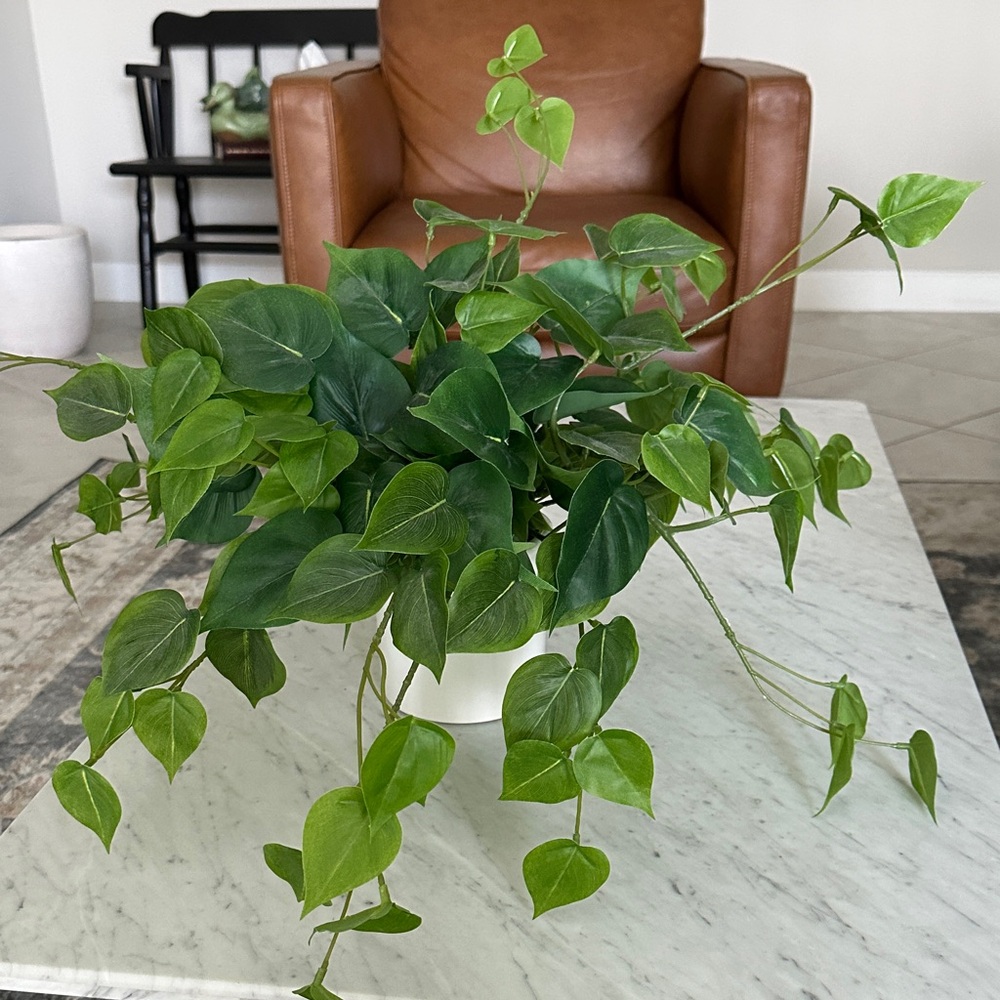 Threshold  Ivy/Pothos Faux Plant in White Pot